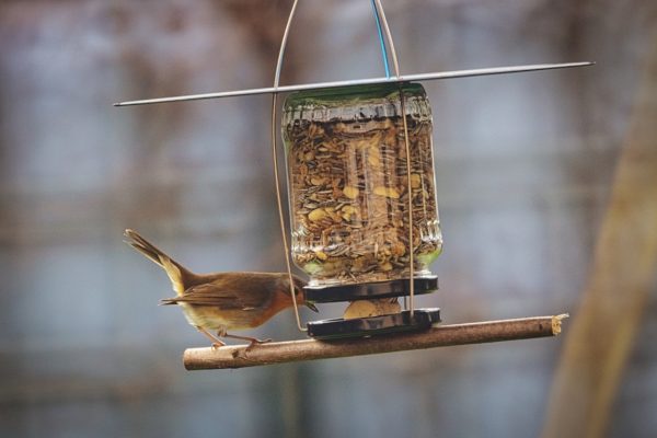 Futterspender aus recycelten Dingen